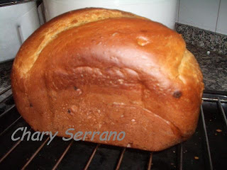 PAN DULCE DE YOGUR CON PEPITAS DE  CHOCOLATE