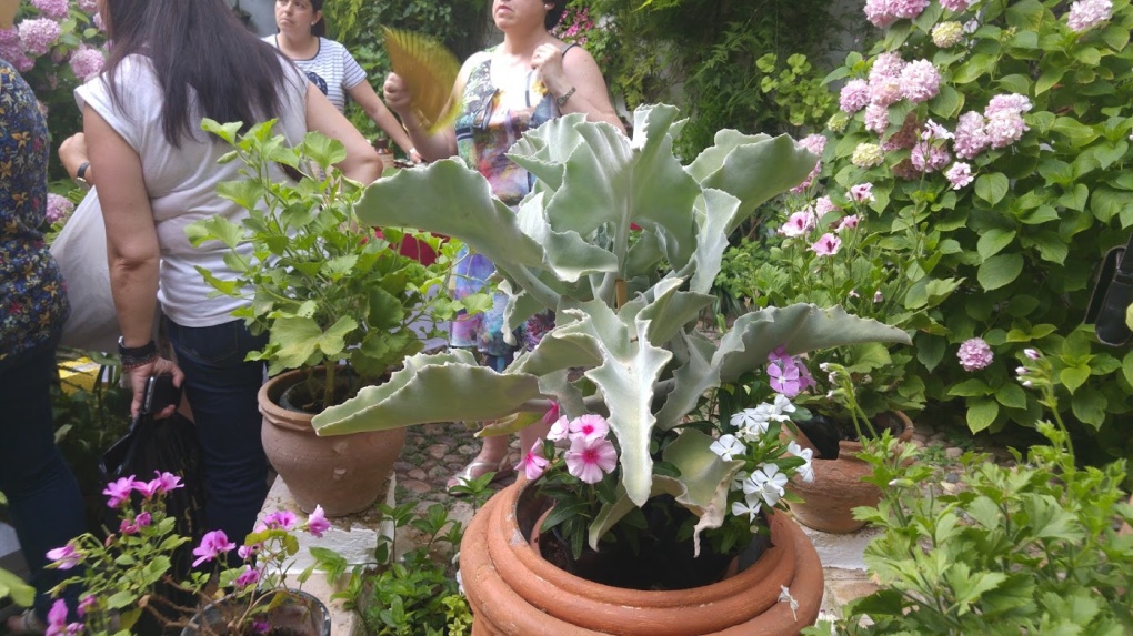 GASTROPATIOS DE JUNIO, EN CÓRDOBA