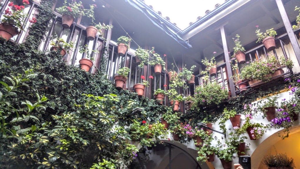 GASTROPATIOS DE JUNIO, EN CÓRDOBA