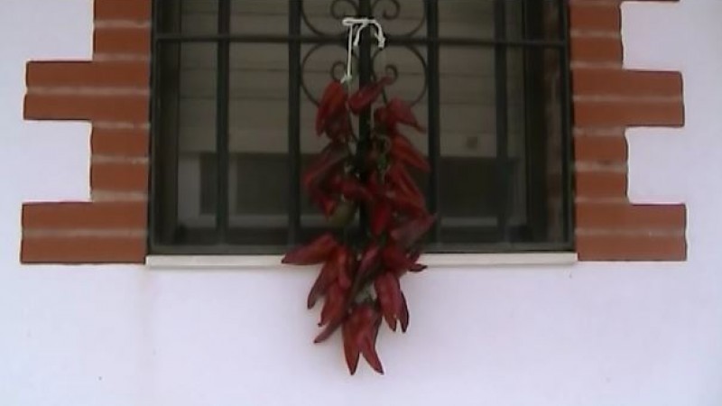 SECADO DE PIMIENTOS ROJOS