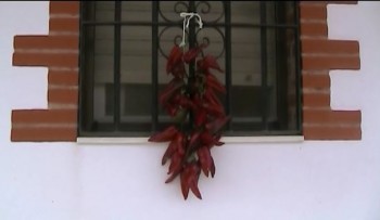 SECADO DE PIMIENTOS ROJOS