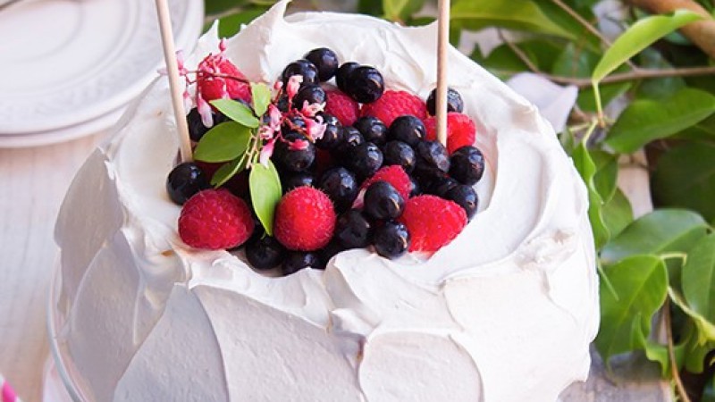 TODO SOBRE EL MERENGUE