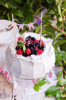 TODO SOBRE EL MERENGUE