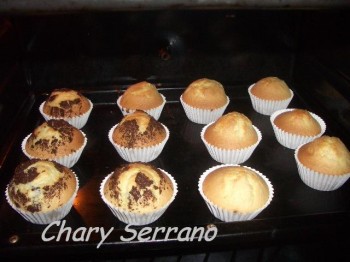 MAGDALENAS 2 SABORES : tradicionales y con chocolate