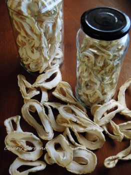 SECADO DE CALABACINES AL SOL