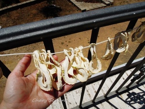 Una vez secos los saqué de las cuerdas y los puse en botes de cristal.