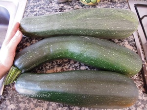 Con un pelador fui quitándoles toda la piel.  Luego los corté a rodajas de 1,5 cm. de grosor (aproximadamente). Las rodajas de los  extremos las reservé para otra preparación, pues solo aproveché las que tenían semillas, que quedaran en aros. Para quitarle las pipas se hunden con los dedos y salen fácilmente.