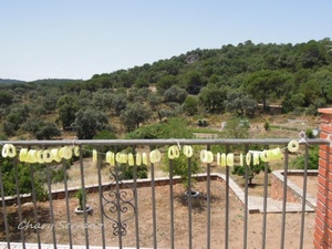 SECADO DE CALABACINES