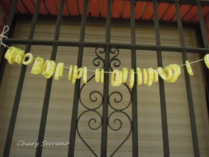 SECADO DE CALABACINES