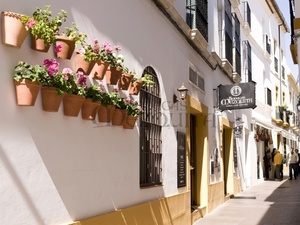 CURSO DE FOTOGRAFIA GASTRONÓMICA
