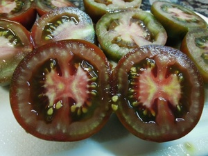 LOS TOMATES DE MI HUERTO