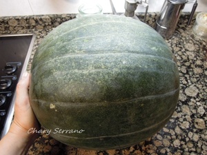 POSTRE DE MELÓN, SANDÍA Y YOGUR, LIGHT