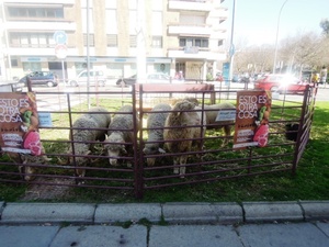 Unas jornadas muy interesantes, muy bien organizadas y que han servido para un acercamiento entre criadores, fabricantes, proveedores, comerciales y el público en general.