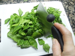 MEDALLONES DE SALMÓN MARINADO Y HORTALIZAS