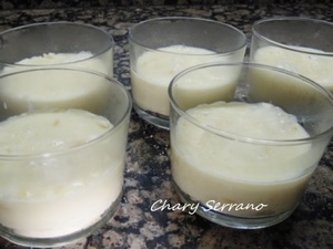 VASITOS DE CREMA DE VAINILLA Y CHOCOLATE