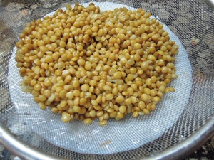 ENSALADA DE LENTEJAS CON ZANAHORIAS Y YOGUR