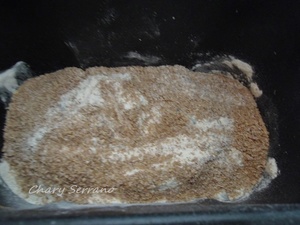 PAN INTEGRAL DE SEMILLAS