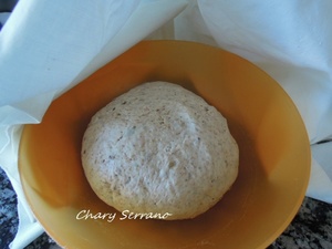 PAN INTEGRAL DE SEMILLAS