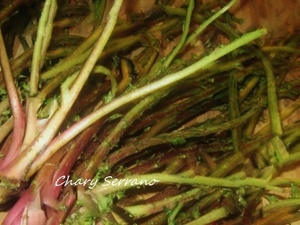 TORTILLA DE TAGARNINAS