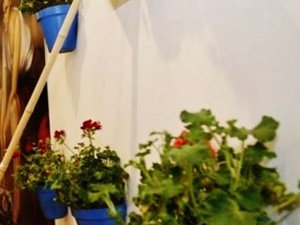 Las Denominaciones de origen cordobesas estuvieron presentes y no podían faltar las degustaciones diarias de jamón ibérico puro 100% bellota de Hinojosa del Duque y de vinos de Montilla-Moriles