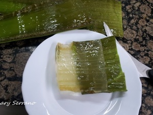COMO PREPARAR ALOE VERA PARA SU CONSUMO