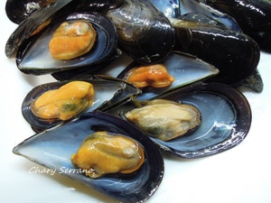 MEJILLONES TIGRE, CON GAMBAS