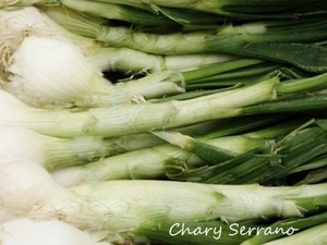 ACELGAS, CEBOLLITAS Y CALABACÍN, EN REVUELTO