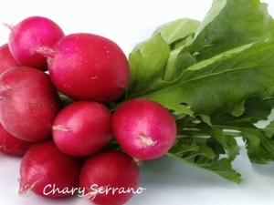 ENSALADA DE RABANITOS, PIMIENTOS Y CANGREJO
