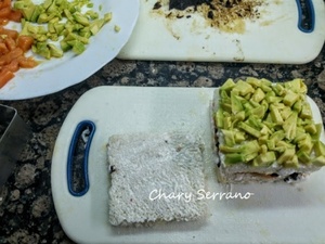 PASTEL DE SALMÓN, AGUACATE Y BOMBÓN DE CEBOLLA NEGRA