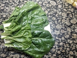 ACELGAS, CEBOLLITA FRESCA Y HUEVO