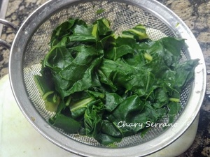 ACELGAS, CEBOLLITA FRESCA Y HUEVO