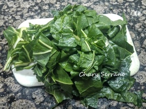 ACELGAS, CEBOLLITA FRESCA Y HUEVO