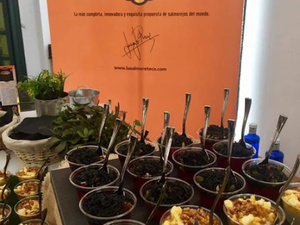 COMO FUE EL PRIMER CONGRESO NACIONAL DE LOS SALMOREJOS EN CÓRDOBA