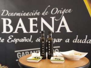 COMO FUE EL PRIMER CONGRESO NACIONAL DE LOS SALMOREJOS EN CÓRDOBA