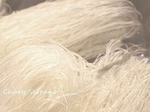 FIDEO CELOFÁN CON  TERNERA Y SALTEADO DE VERDURAS