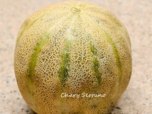 MELÓN CON SANDIA Y MORAS