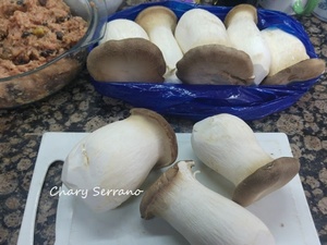 POLLO CAMPERO ASADO RELLENO, CON CEBOLLA NEGRA