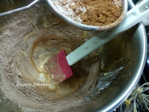 BIZCOCHO DE CHOCOLATE MUY ESPONJOSO