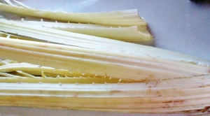 RECOGIDA DE PENCAS DE CARDO