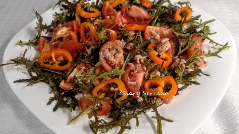 Ensalada con Mizuna (mostaza roja japonesa)