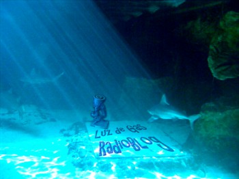 VUELVE LUZ DE GAS RADIO BLOG