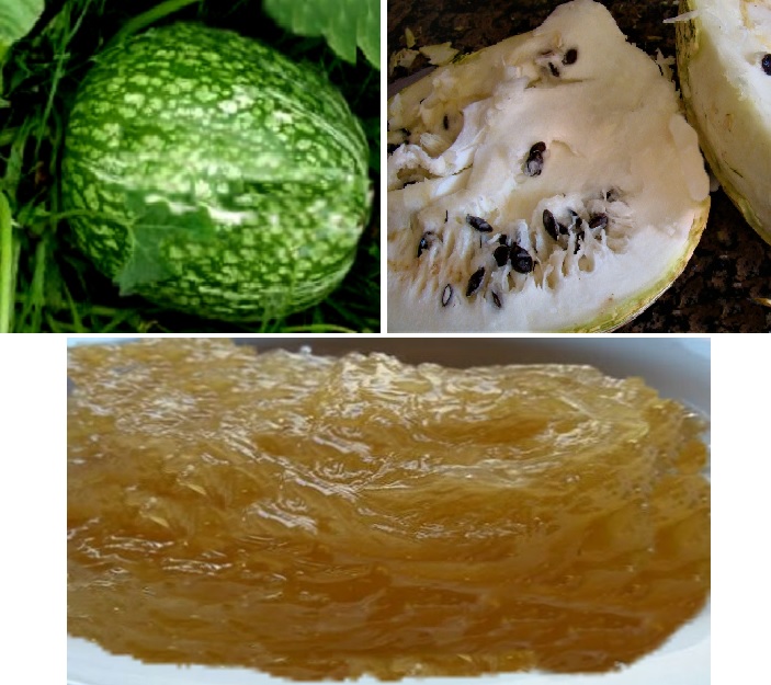 Calabaza cidra. Cabello de ángel