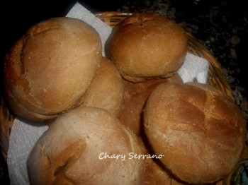 PANECILLOS DE SALVADO