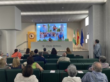 1 Simposium del Plato Rabo de toro Cordobés