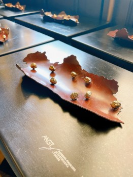 Asamblea y entrega de premios de la AAGT