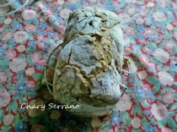 PAN RÚSTICO EN PANIFICADORA