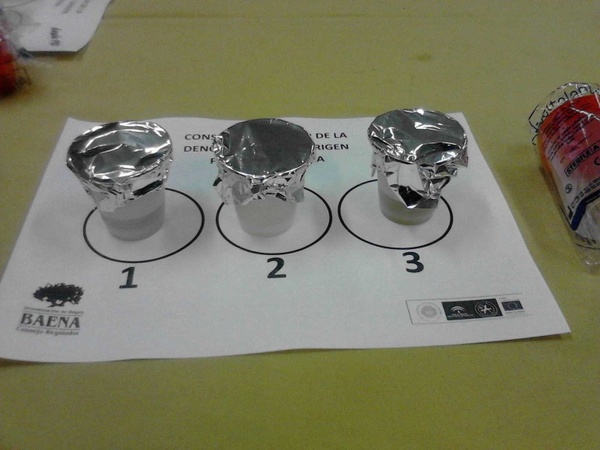 I jornadas Experiencia AOVE, en Doña Mencía