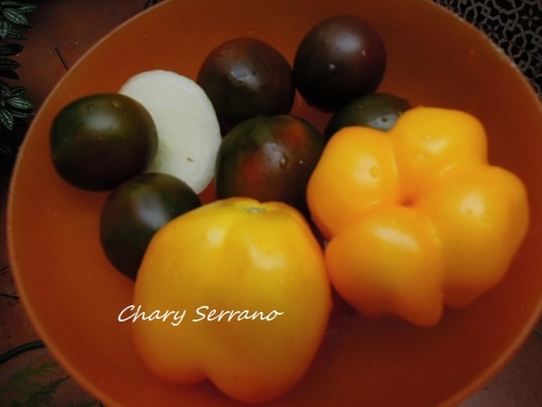 ENSALADA DE ATÚN, TOMATES Y CEBOLLA, SIN ATÚN