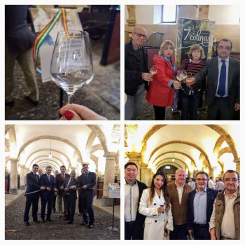 VII Muestra Ibérica de Vinos y Aoves, 7a. Cata de Otoño, en Córdoba