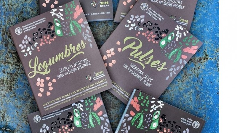 LA FAO PROPONE LAS LEGUMBRES COMO SUPERALIMENTO